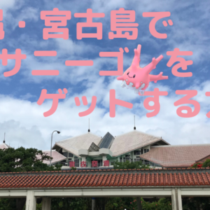 ポケモンGO_沖縄でサニーゴ