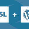 wordpress+https+ssl