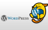 ワードプレスwordpressカスタマイズ